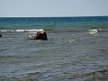 Western Michigan [2010] 860